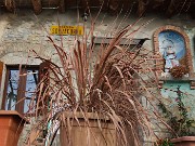 Festa di fiori sui sentieri per il Monte Ubione-6 marzo 2026-FOTOGALLERY